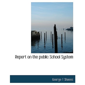 Report on the Public School System