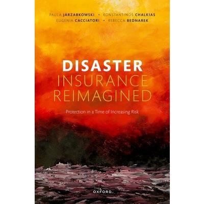 Disaster Insurance Reimagined