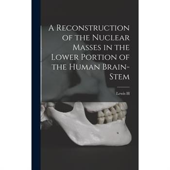 A Reconstruction of the Nuclear Masses in the Lower Portion of the Human Brain-stem