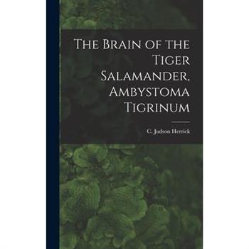 The Brain of the Tiger Salamander, Ambystoma Tigrinum