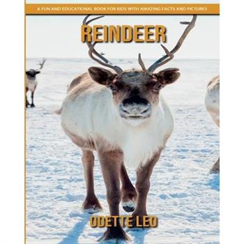 Reindeer