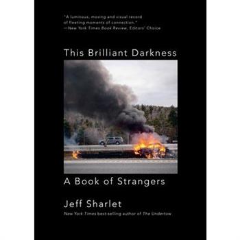 This Brilliant Darkness