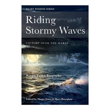 Riding Stormy Waves