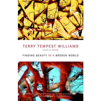 Finding Beauty in a Broken World