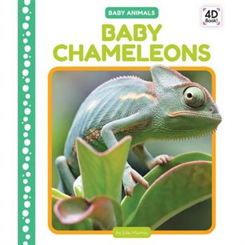 Baby Chameleons