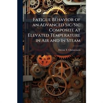 Fatigue Behavior of an Advanced Sic/Sic Composite at Elevated Temperature in Air and in Steam
