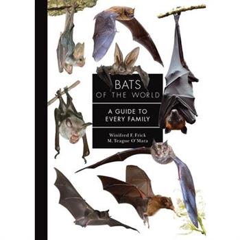Bats of the World