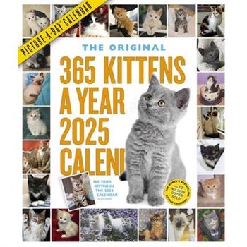 365 Kittens-A-Year Picture-A-Day(r) Wall Calendar 2025