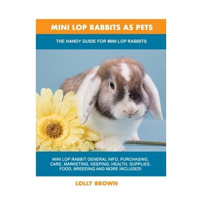 Mini Lop Rabbits as Pets