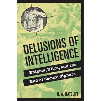Delusions of Intelligence