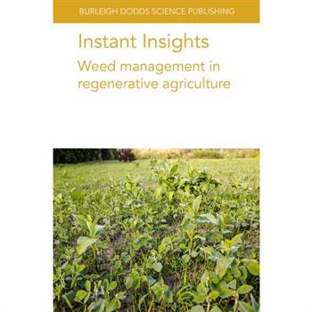 Instant Insights