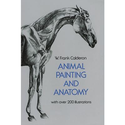 Animal Painting and Anatomy