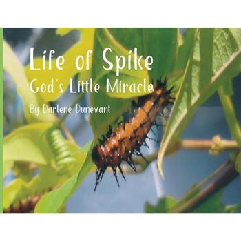 Life of Spike