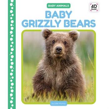 Baby Grizzly Bears