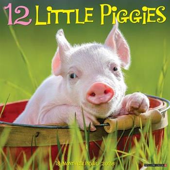 12 Little Piggies 2026 12 X 12 Wall Calendar