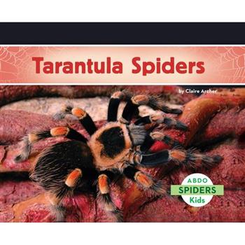 Tarantula Spiders