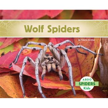 Wolf Spiders