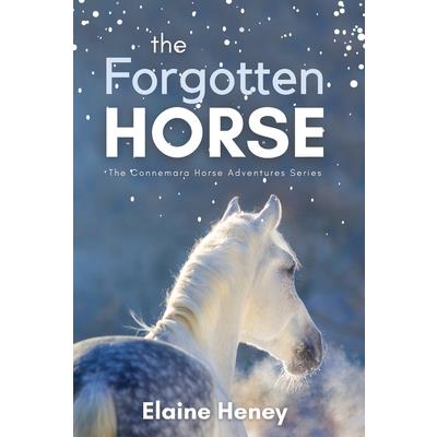 The Forgotten Horse - Book 1 in the Connemara Horse Adventure Series for Kids. The perfect gift for children age 8-12.