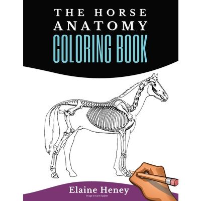 Horse Anatomy Coloring Book For Adults - Self Assessment Equine Coloring Workbook