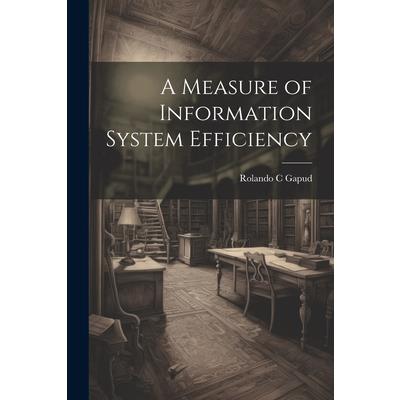 A Measure of Information System Efficiency