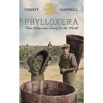 Phylloxera
