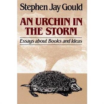 Urchin in the Storm