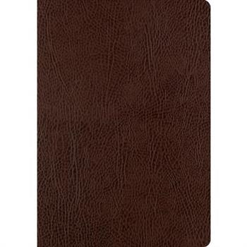 ESV Single Column Journaling Bible, Large Print (Mocha)