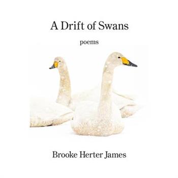 A Drift of Swans