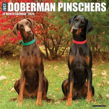 Doberman Pinschers 2026 Wall Calendar