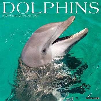 Dolphins 2026 12 X 12 Wall Calendar
