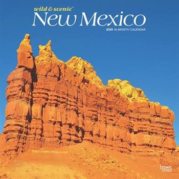 New Mexico Wild & Scenic 2025 12 X 24 Inch Monthly Square Wall Calendar Plastic-Free