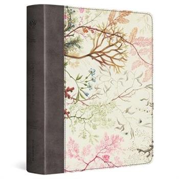 Holy Bible