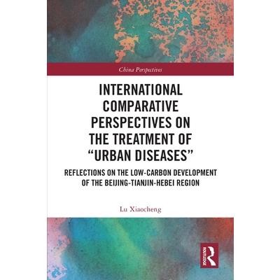 International Comparative Perspectives on the Treatment of "Urban Diseases"