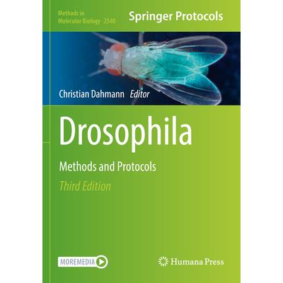 Drosophila
