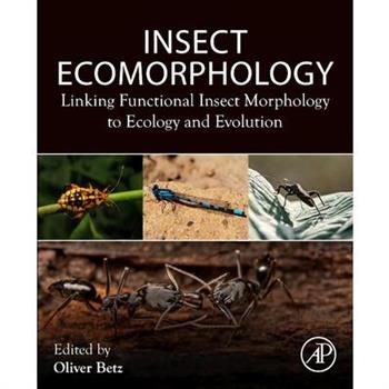 Insect Ecomorphology