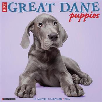Great Dane Puppies 2026 12 X 12 Wall Calendar