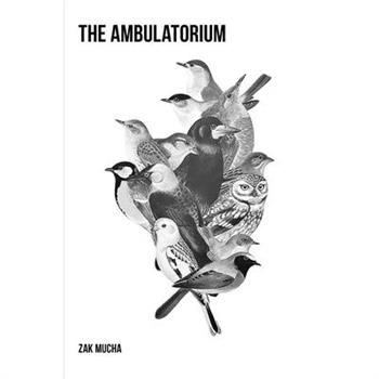 The Ambulatorium