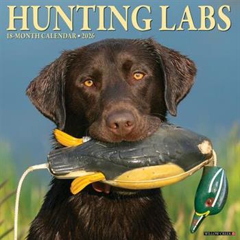 Hunting Labs 2026 12 X 12 Wall Calendar