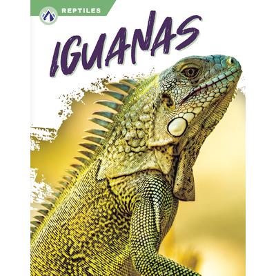 Iguanas