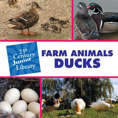 Farm animals. Ducks