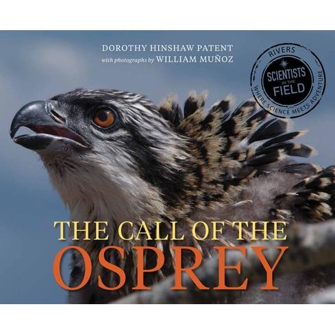 Call of the Osprey