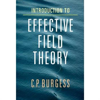 Introduction to Effective Field Theory