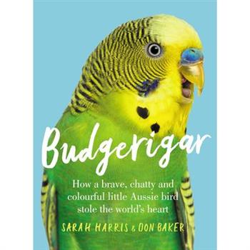 Budgerigar