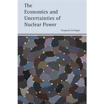 The Economics and Uncertainties of Nuclear Power