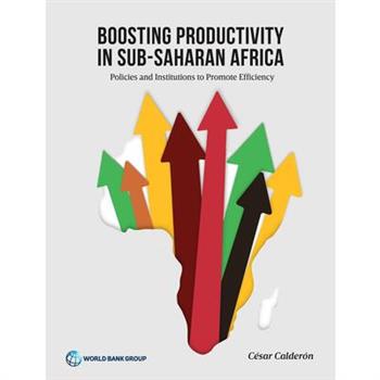 Boosting Productivity in Sub-Saharan Africa