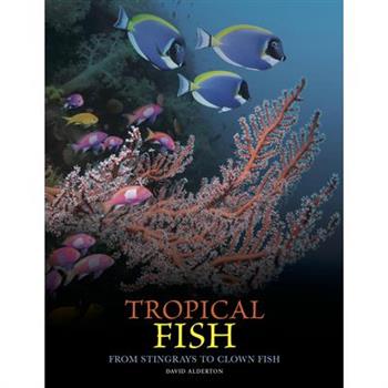 Tropical Fish