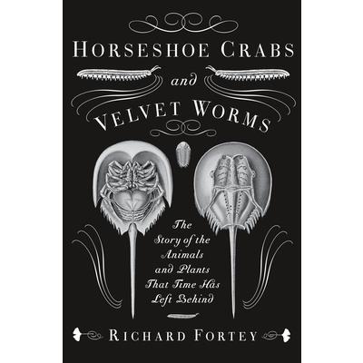 Horseshoe Crabs and Velvet Worms