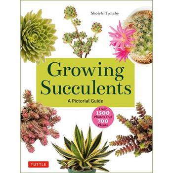 Growing Succulents
