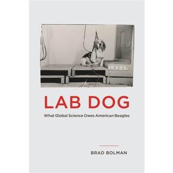 Lab Dog