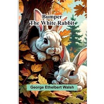 Bumper The White Rabbit
